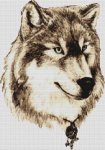 (image for) Wolf Sketch